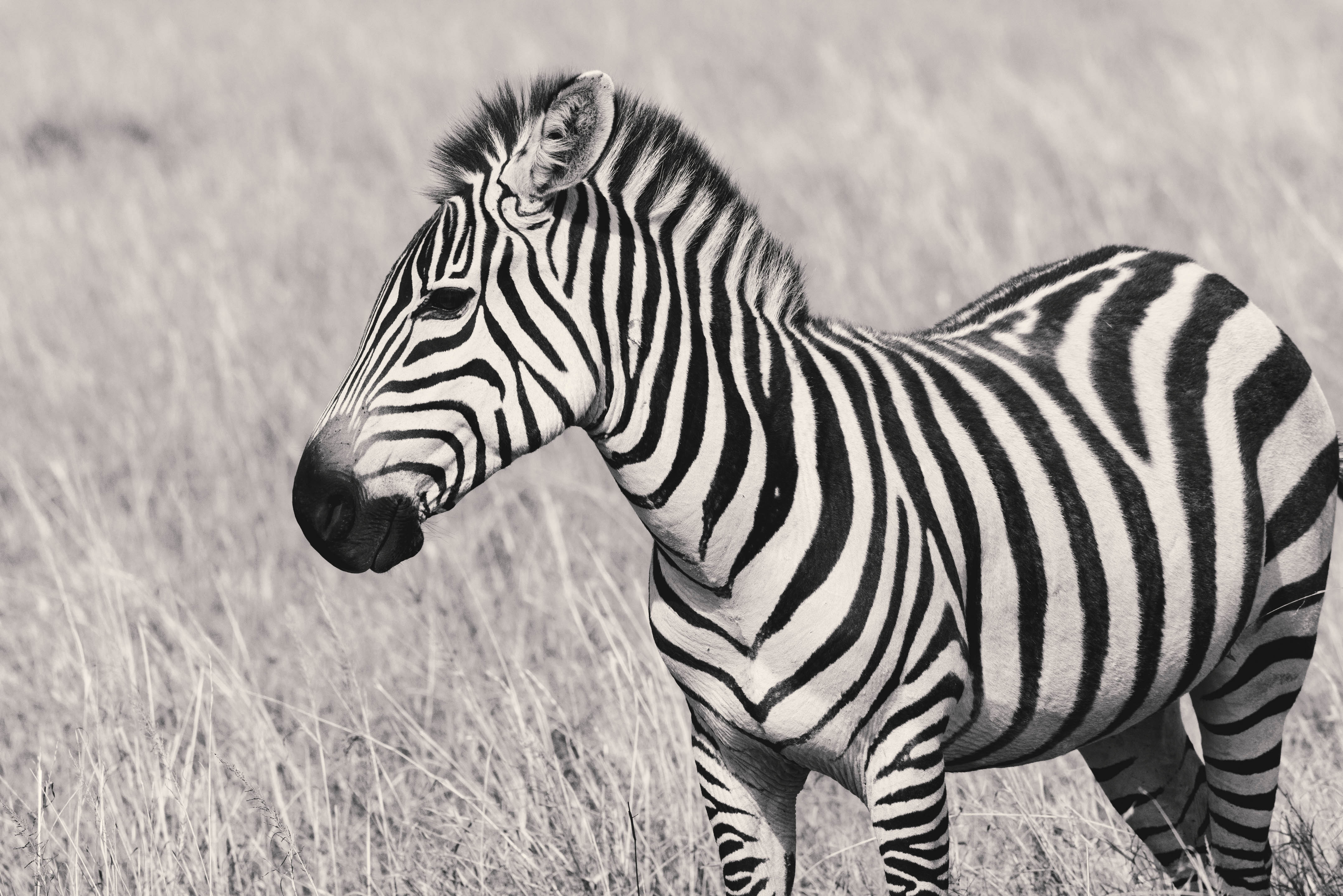 November 10, 2022-090633-3-Edit.jpg